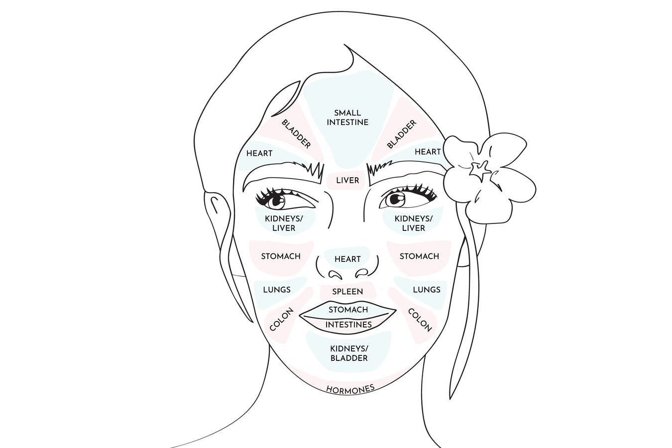 Face Mapping: Balance Your Complexion From the Inside Out