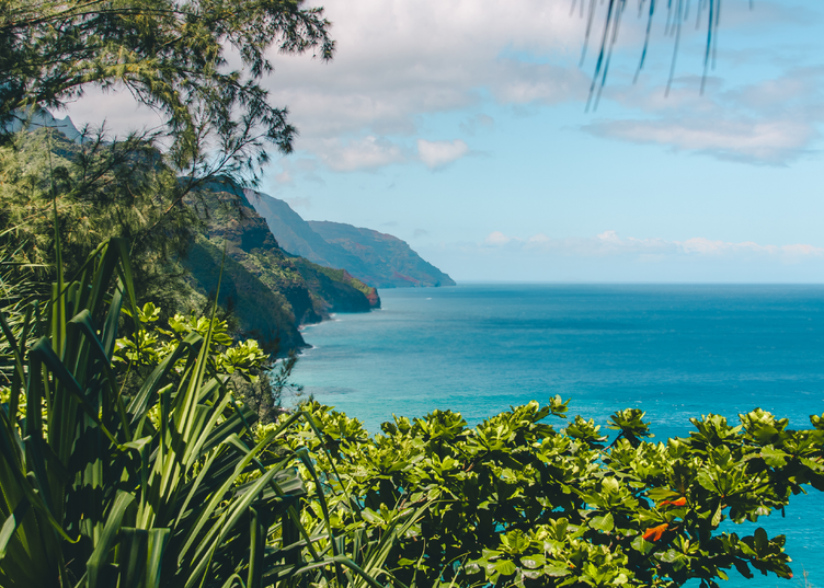 In the Field at Waipā